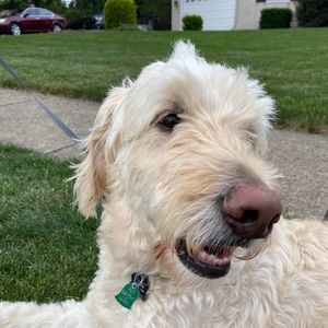 Meet your Posher, Chris